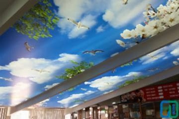 Avcılar Gergi Tavan