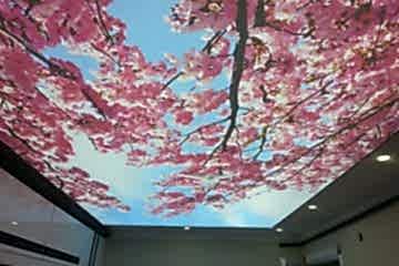 Esenyurt Gergi Tavan