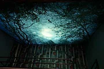 Göktürk Gergi Tavan